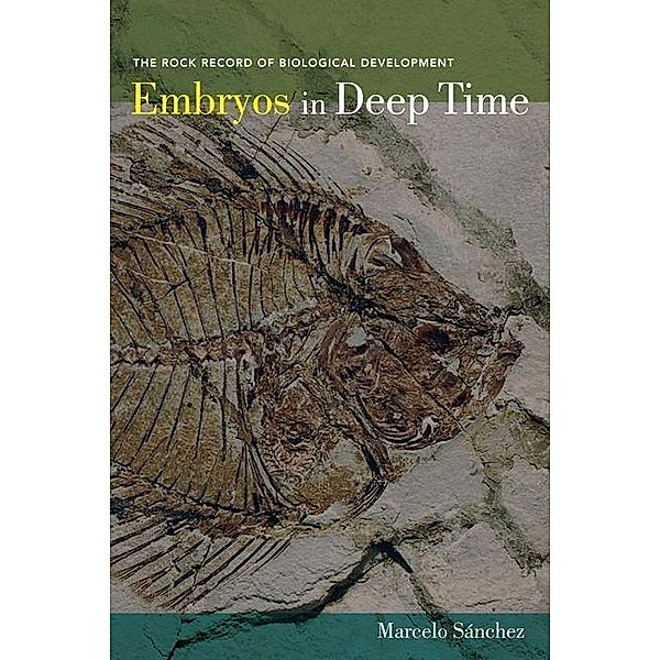 Embryos in Deep Time, Marcelo Sánchez-Villagra