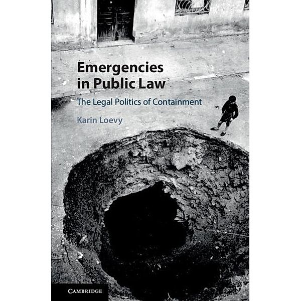 Emergencies in Public Law, Karin Loevy