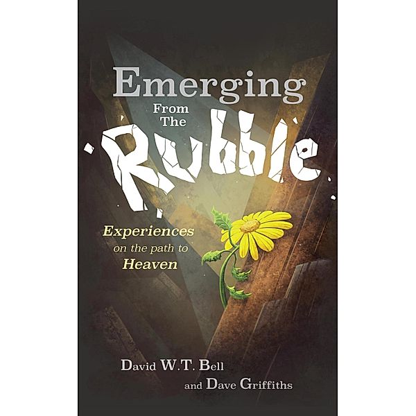 Emerging from the Rubble, David W. T. Bell, Dave Griffiths