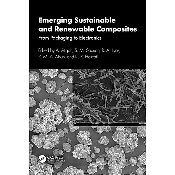 Emerging Sustainable and Renewable Composites