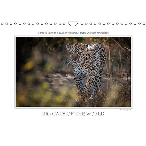 Emotional Moments: Big Cats of the World / UK-Version (Wall Calendar 2019 DIN A4 Landscape), Ingo Gerlach GDT