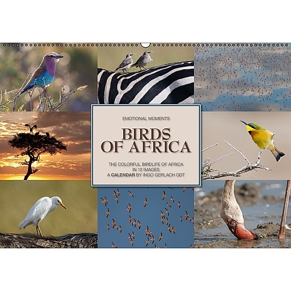 Emotional Moments: Birds of Africa UK-Version (Wall Calendar 2014 DIN A2 Landscape), Ingo Gerlach
