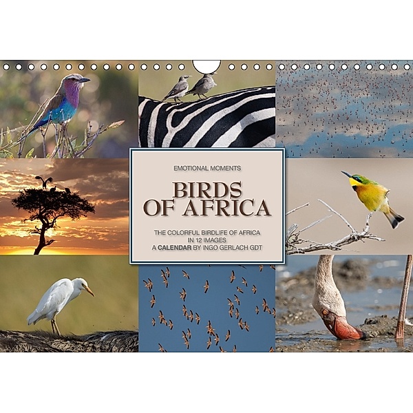 Emotional Moments: Birds of Africa UK-Version (Wall Calendar 2018 DIN A4 Landscape), Ingo Gerlach GDT