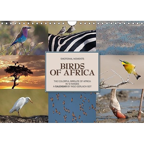 Emotional Moments: Birds of Africa UK-Version (Wall Calendar 2017 DIN A4 Landscape), Ingo Gerlach, Ingo Gerlach GDT