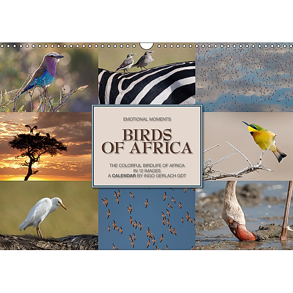 Emotional Moments: Birds of Africa UK-Version (Wall Calendar 2019 DIN A3 Landscape), Ingo Gerlach GDT