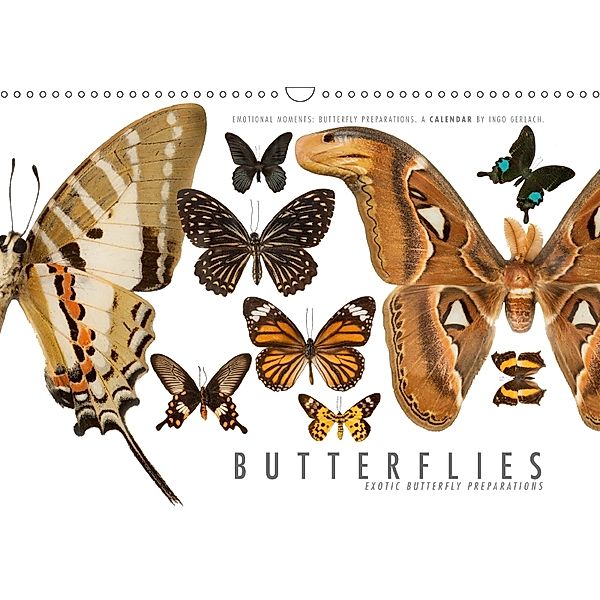 Emotional Moments: Butterflies - exotic butterfly preparations / UK-Version (Wall Calendar 2018 DIN A3 Landscape), Ingo Gerlach