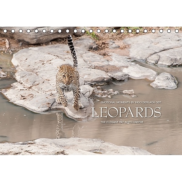 Emotional Moments: Leopards UK Version (Table Calendar 2014 DIN A5 Landscape), Ingo Gerlach