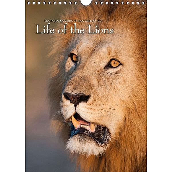Emotional Moments: Life of the Lions UK Version (Wall Calendar 2014 DIN A4 Portrait), Ingo Gerlach