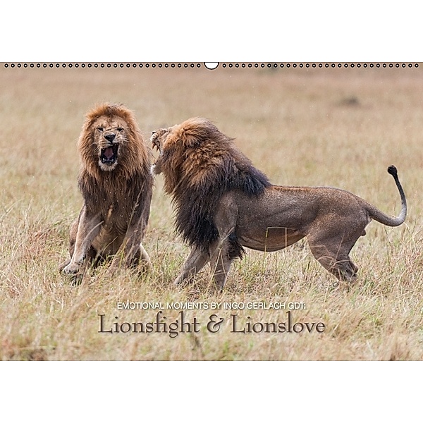 Emotional Moments: Lionsfight & Lionslove UK Version (Wall Calendar 2014 DIN A2 Landscape), Ingo Gerlach