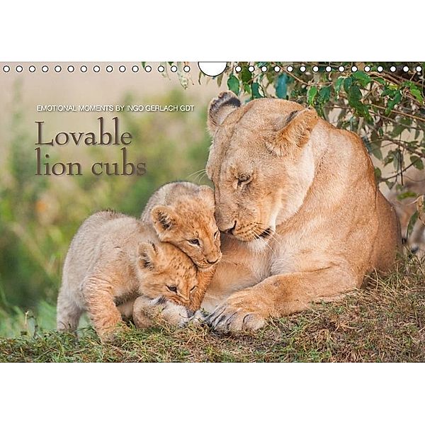 Emotional moments: Lovable lion cubs UK-Version (Wall Calendar 2017 DIN A4 Landscape), Ingo Gerlach, Ingo Gerlach GDT