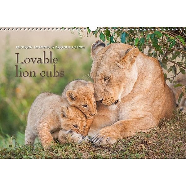 Emotional moments: Lovable lion cubs UK-Version (Wall Calendar 2017 DIN A3 Landscape), Ingo Gerlach, Ingo Gerlach GDT