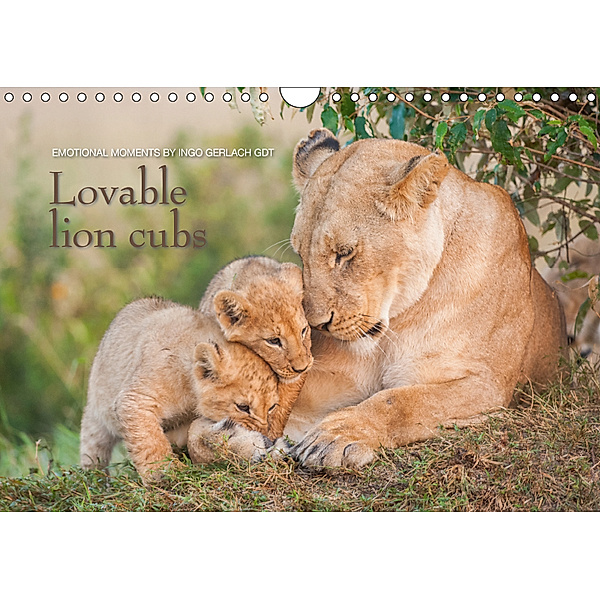Emotional moments: Lovable lion cubs UK-Version (Wall Calendar 2019 DIN A4 Landscape), Ingo Gerlach GDT