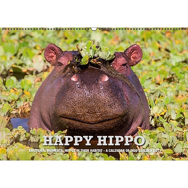 Emotional Moments: Lucky Hippo / UK-Version (Wall Calendar 2014 DIN A2 Landscape)