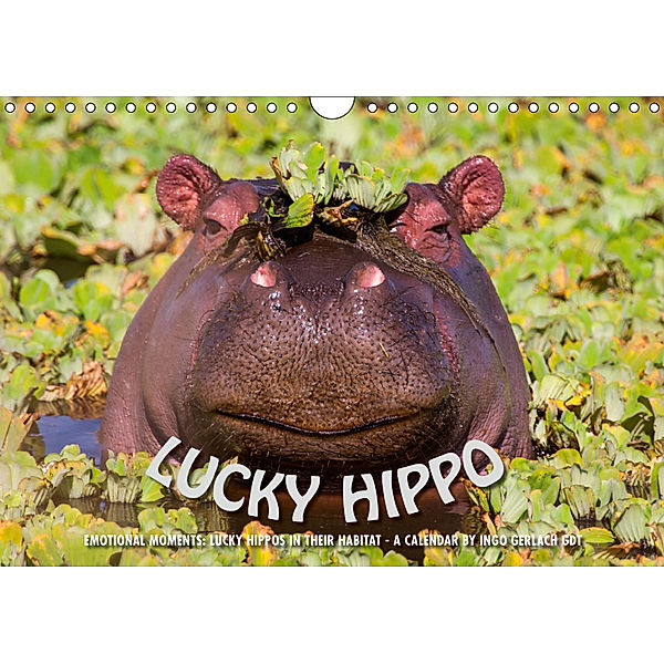Emotional Moments: Lucky Hippo / UK-Version (Wall Calendar 2019 DIN A4 Landscape), Ingo Gerlach GDT