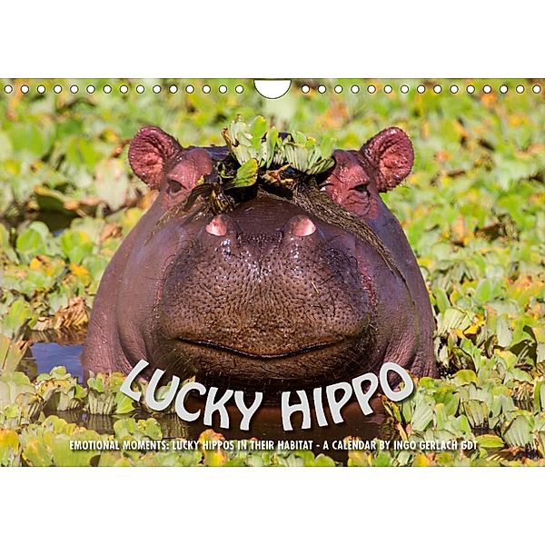 Emotional Moments: Lucky Hippo / UK-Version (Wall Calendar 2023 DIN A4 Landscape), Ingo Gerlach GDT