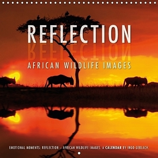Emotional Moments: Reflection - African Wildlife images (Wall Calendar 2017 300 × 300 mm Square), Ingo Gerlach