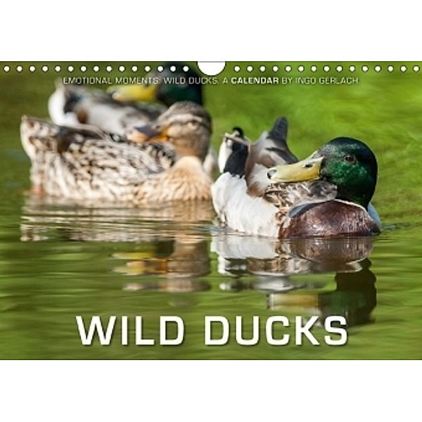 Emotional Moments: Wild Ducks. / UK-Version (Wall Calendar 2017 DIN A4 Landscape), Ingo Gerlach