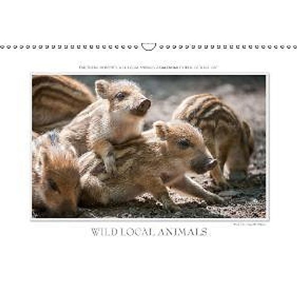 Emotional Moments: Wild local animals / UK-Version (Wall Calendar 2015 DIN A3 Landscape), Ingo Gerlach