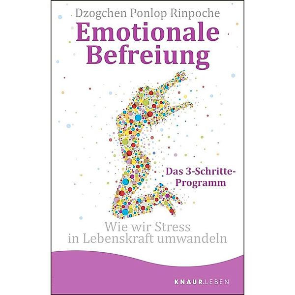 Emotionale Befreiung, Dzogchen Ponlop Rinpoche