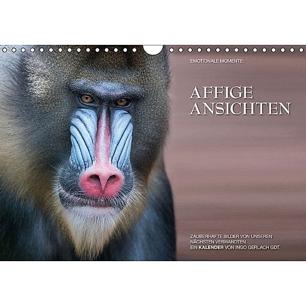 Emotionale Momente: Affige Ansichten (Wandkalender 2014 DIN A4 quer), Ingo Gerlach