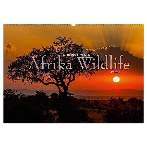 Emotionale Momente: Afrika Wildlife Part 2 / CH-Version (Wandkalender 2024 DIN A2 quer), CALVENDO Monatskalender, Ingo Gerlach GDT