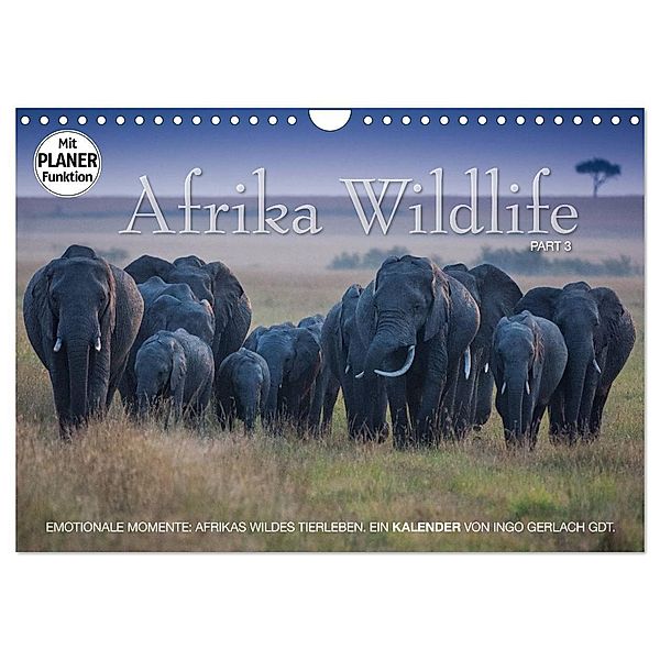 Emotionale Momente: Afrika Wildlife. Part 3. (Wandkalender 2024 DIN A4 quer), CALVENDO Monatskalender, Ingo Gerlach GDT