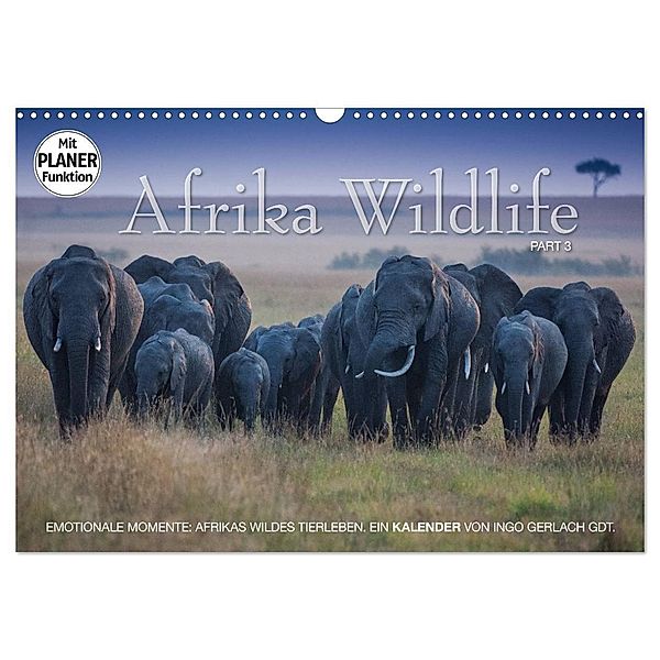 Emotionale Momente: Afrika Wildlife. Part 3. (Wandkalender 2024 DIN A3 quer), CALVENDO Monatskalender, Ingo Gerlach GDT