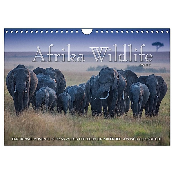 Emotionale Momente: Afrika Wildlife. Part 3. / CH-Version (Wandkalender 2024 DIN A4 quer), CALVENDO Monatskalender, Ingo Gerlach GDT
