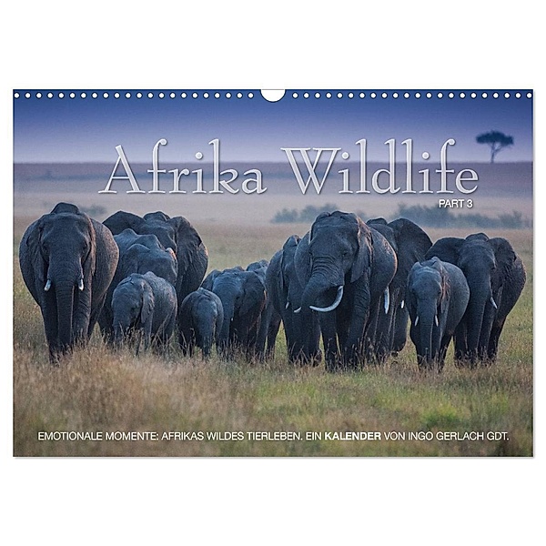 Emotionale Momente: Afrika Wildlife. Part 3. / CH-Version (Wandkalender 2024 DIN A3 quer), CALVENDO Monatskalender, Ingo Gerlach GDT