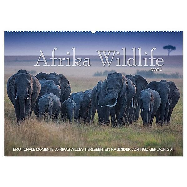 Emotionale Momente: Afrika Wildlife. Part 3. / CH-Version (Wandkalender 2024 DIN A2 quer), CALVENDO Monatskalender, Ingo Gerlach GDT