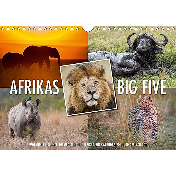 Emotionale Momente: Afrikas Big Five / CH-Version (Wandkalender 2020 DIN A4 quer), Ingo Gerlach GDT