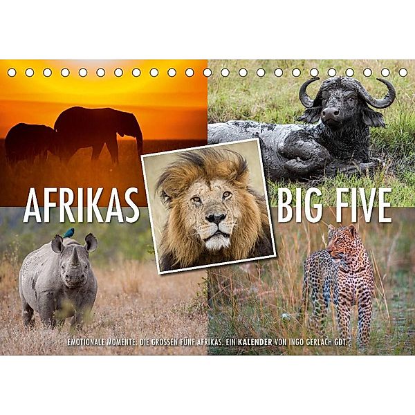 Emotionale Momente: Afrikas Big Five / CH-Version (Tischkalender 2023 DIN A5 quer), Ingo Gerlach GDT
