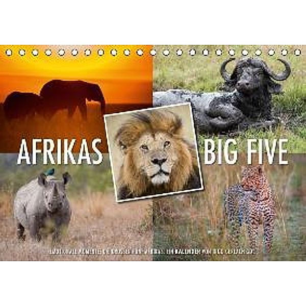 Emotionale Momente: Afrikas Big Five (Tischkalender 2015 DIN A5 quer), Ingo Gerlach