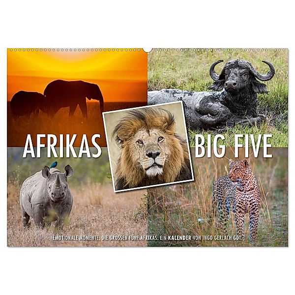 Emotionale Momente: Afrikas Big Five (Wandkalender 2024 DIN A2 quer), CALVENDO Monatskalender, Ingo Gerlach GDT