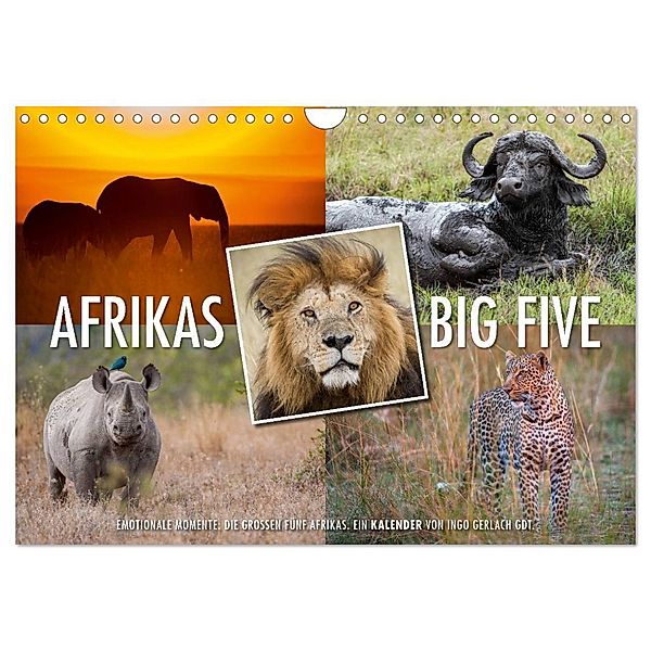 Emotionale Momente: Afrikas Big Five (Wandkalender 2024 DIN A4 quer), CALVENDO Monatskalender, Ingo Gerlach GDT