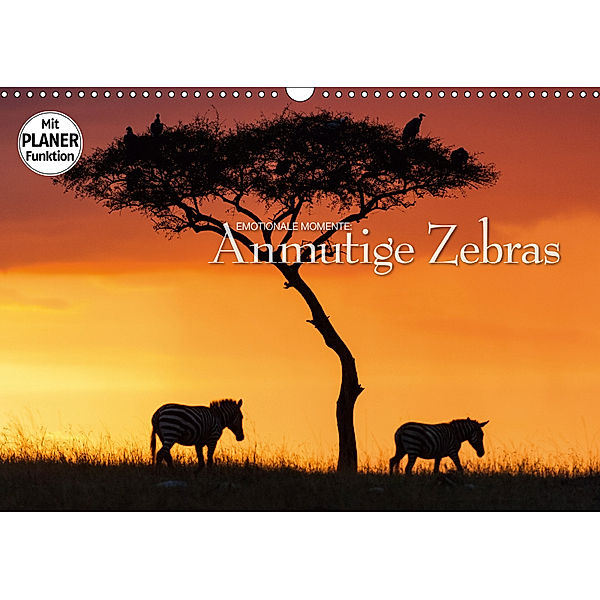 Emotionale Momente: Anmutige Zebras (Wandkalender 2019 DIN A3 quer), Ingo Gerlach