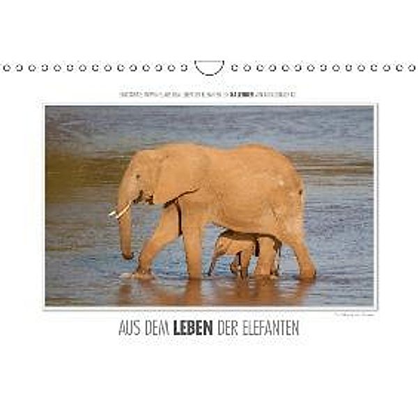 Emotionale Momente: Aus dem Leben der Elefanten. (Wandkalender 2015 DIN A4 quer), Ingo Gerlach
