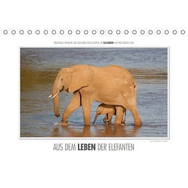 Emotionale Momente: Aus dem Leben der Elefanten. (Tischkalender 2016 DIN A5 quer), Ingo Gerlach
