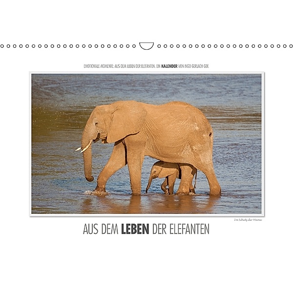 Emotionale Momente: Aus dem Leben der Elefanten. (Wandkalender 2018 DIN A3 quer), Ingo Gerlach, Ingo Gerlach GDT