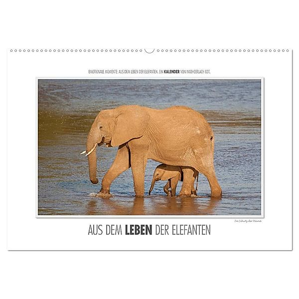 Emotionale Momente: Aus dem Leben der Elefanten. (Wandkalender 2024 DIN A2 quer), CALVENDO Monatskalender, Ingo Gerlach GDT