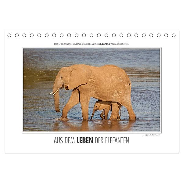 Emotionale Momente: Aus dem Leben der Elefanten. (Tischkalender 2024 DIN A5 quer), CALVENDO Monatskalender, Ingo Gerlach GDT
