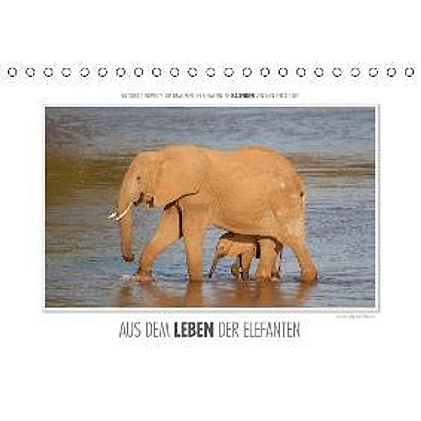 Emotionale Momente: Aus dem Leben der Elefanten. / AT-Version (Tischkalender 2015 DIN A5 quer), Ingo Gerlach