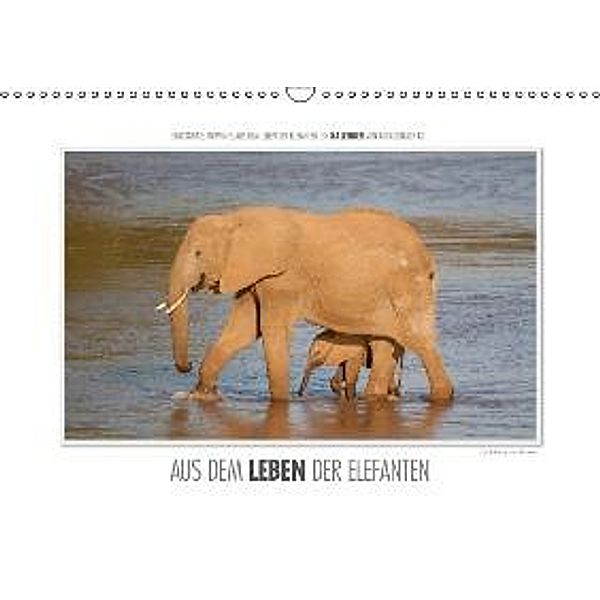 Emotionale Momente: Aus dem Leben der Elefanten. / CH-Version (Wandkalender 2015 DIN A3 quer), Ingo Gerlach