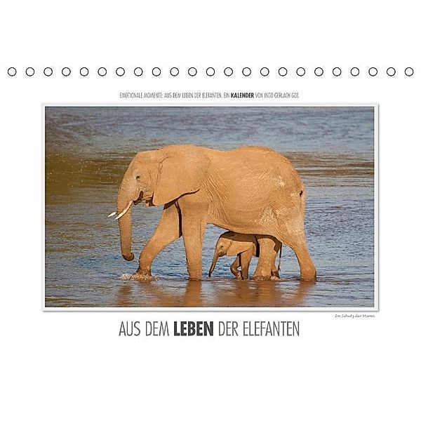 Emotionale Momente: Aus dem Leben der Elefanten. / CH-Version (Tischkalender 2017 DIN A5 quer), Ingo Gerlach