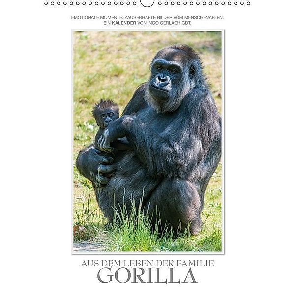 Emotionale Momente: Aus dem Leben der Familie Gorilla. (Wandkalender 2017 DIN A3 hoch), Ingo Gerlach, Ingo Gerlach GDT