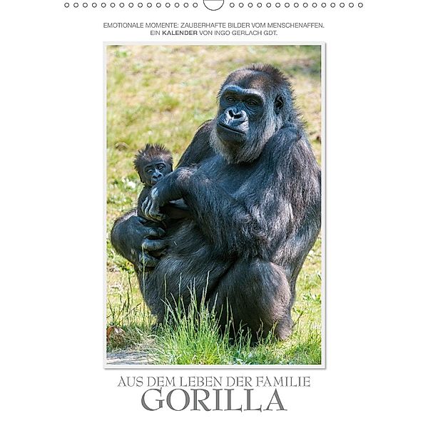 Emotionale Momente: Aus dem Leben der Familie Gorilla. / CH-Version (Wandkalender 2020 DIN A3 hoch), Ingo Gerlach GDT