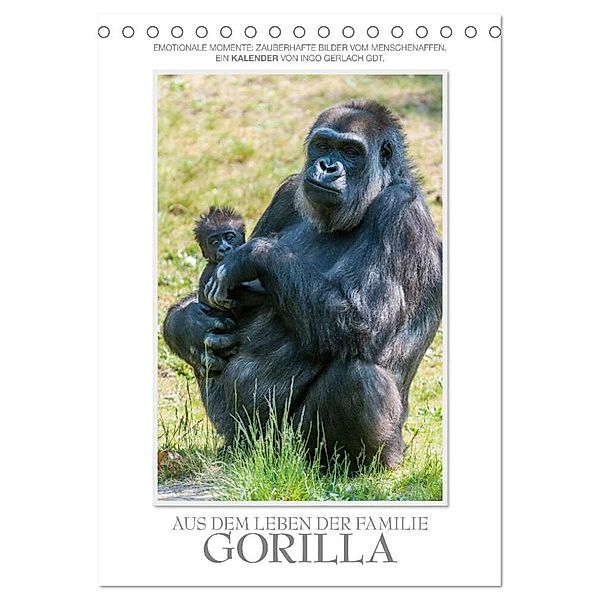 Emotionale Momente: Aus dem Leben der Familie Gorilla. (Tischkalender 2024 DIN A5 hoch), CALVENDO Monatskalender, Ingo Gerlach GDT