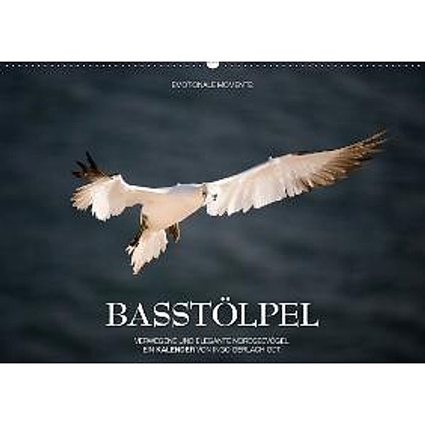 Emotionale Momente: Basstölpel / CH-Version (Wandkalender 2015 DIN A2 quer), Ingo Gerlach