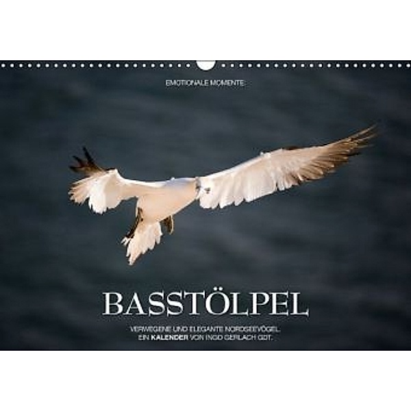 Emotionale Momente: Basstölpel / CH-Version (Wandkalender 2016 DIN A3 quer), Ingo Gerlach