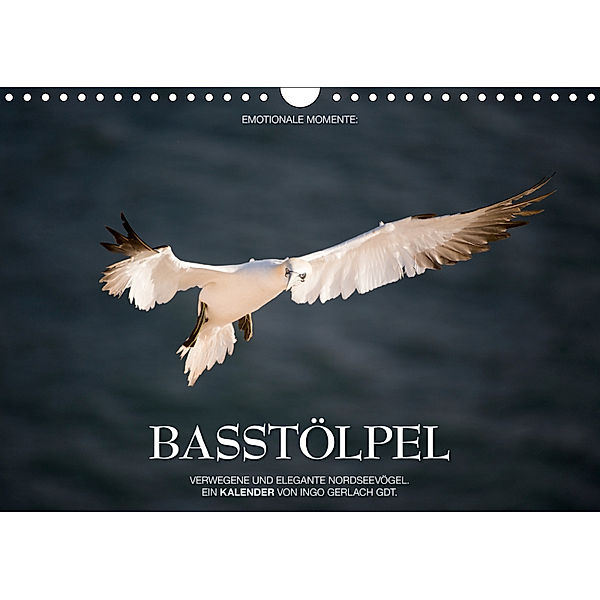 Emotionale Momente: Basstölpel / CH-Version (Wandkalender 2019 DIN A4 quer), Ingo Gerlach